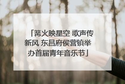 篝火映星空 歌声传新风 东昌府侯营镇举办首届青年音乐节