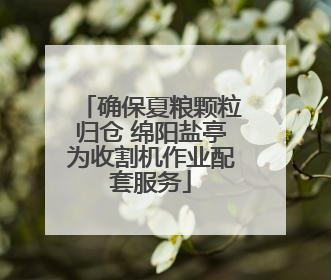 确保夏粮颗粒归仓 绵阳盐亭为收割机作业配套服务