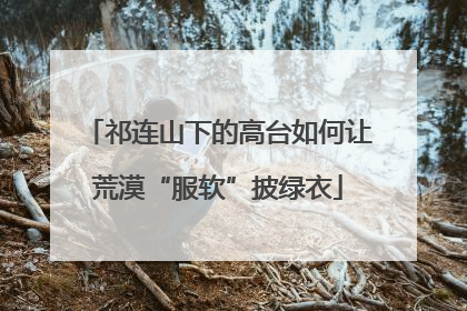 祁连山下的高台如何让荒漠“服软”披绿衣
