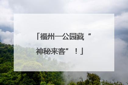 福州一公园藏“神秘来客”！