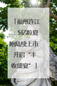 福州连江：5亿粒夏鲍陆续上市 开启“丰收盛宴”
