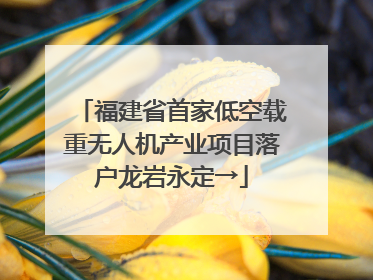 福建省首家低空载重无人机产业项目落户龙岩永定→