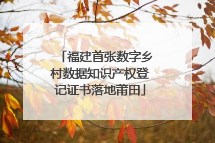 福建首张数字乡村数据知识产权登记证书落地莆田