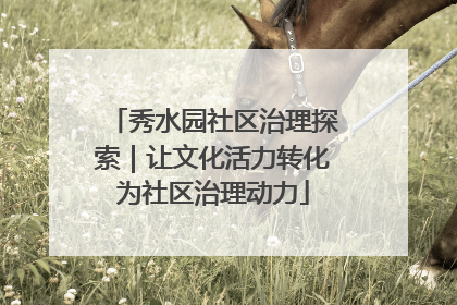 秀水园社区治理探索｜让文化活力转化为社区治理动力