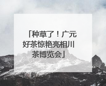 种草了！广元好茶惊艳亮相川茶博览会