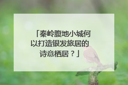 秦岭腹地小城何以打造银发旅居的诗意栖居？