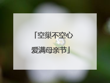 空巢不空心 爱满母亲节