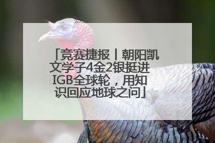 竞赛捷报丨朝阳凯文学子4金2银挺进IGB全球轮，用知识回应地球之问