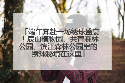 端午奔赴一场绣球盛宴！辰山植物园、共青森林公园、滨江森林公园里的绣球秘境在这里