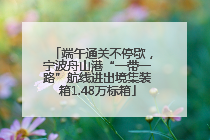 端午通关不停歇，宁波舟山港“一带一路”航线进出境集装箱1.48万标箱