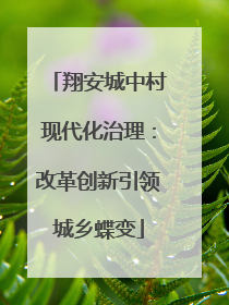 翔安城中村现代化治理：改革创新引领城乡蝶变