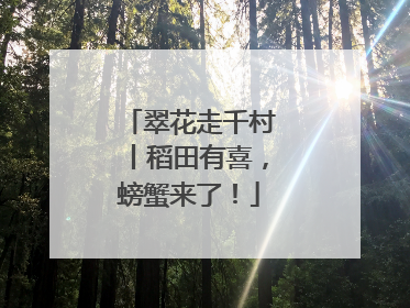 翠花走千村丨稻田有喜，螃蟹来了！