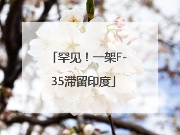 罕见！一架F-35滞留印度