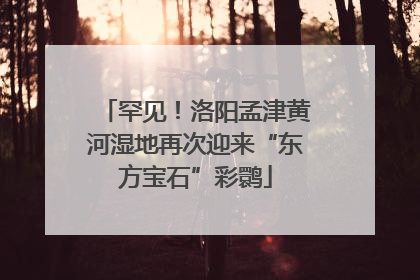 罕见！洛阳孟津黄河湿地再次迎来“东方宝石”彩鹮