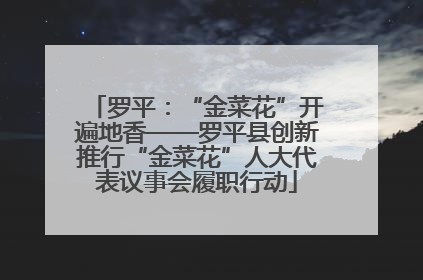 罗平：“金菜花”开遍地香——罗平县创新推行“金菜花”人大代表议事会履职行动