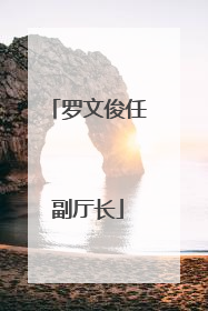 罗文俊任副厅长
