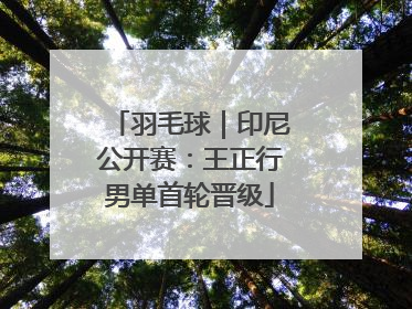 羽毛球｜印尼公开赛：王正行男单首轮晋级