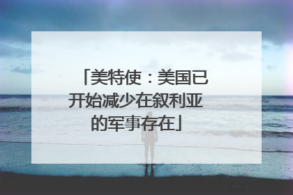 美特使：美国已开始减少在叙利亚的军事存在