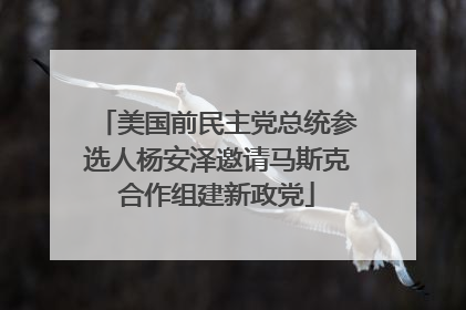 美国前民主党总统参选人杨安泽邀请马斯克合作组建新政党