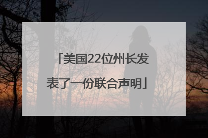 美国22位州长发表了一份联合声明