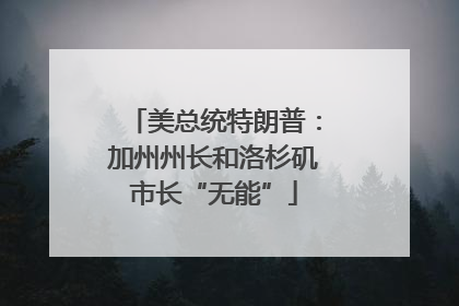 美总统特朗普：加州州长和洛杉矶市长“无能”