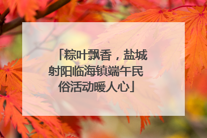 粽叶飘香，盐城射阳临海镇端午民俗活动暖人心