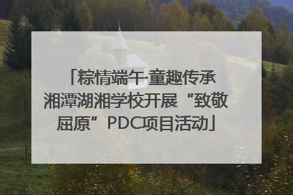 粽情端午·童趣传承 湘潭湖湘学校开展“致敬屈原”PDC项目活动
