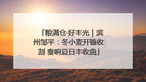 粮满仓·好丰光｜滨州邹平：冬小麦开镰收割 奏响夏日丰收曲