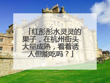 红彤彤水灵灵的果子，在杭州街头大量成熟，看着诱人但能吃吗？