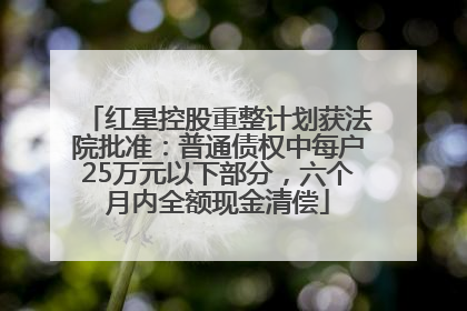 红星控股重整计划获法院批准：普通债权中每户25万元以下部分，六个月内全额现金清偿