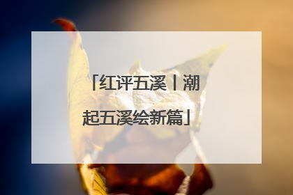红评五溪丨潮起五溪绘新篇
