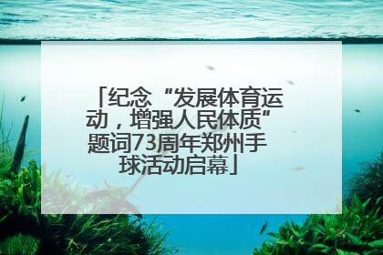 纪念“发展体育运动，增强人民体质”题词73周年郑州手球活动启幕