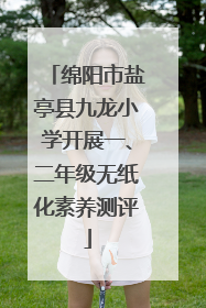 绵阳市盐亭县九龙小学开展一、二年级无纸化素养测评