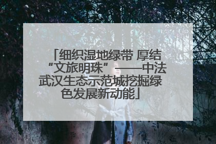 细织湿地绿带 厚结“文旅明珠”——中法武汉生态示范城挖掘绿色发展新动能