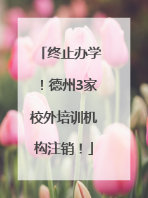 终止办学！德州3家校外培训机构注销！