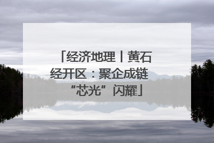 经济地理丨黄石经开区：聚企成链“芯光”闪耀