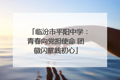 临汾市平阳中学：青春向党担使命 团徽闪耀践初心