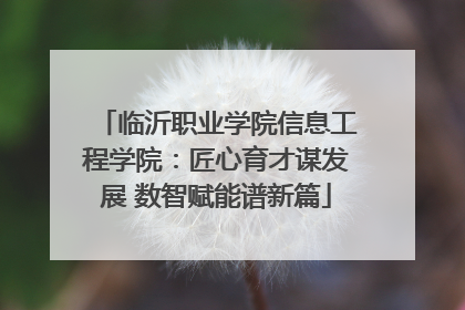 临沂职业学院信息工程学院：匠心育才谋发展 数智赋能谱新篇