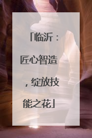临沂：匠心智造，绽放技能之花