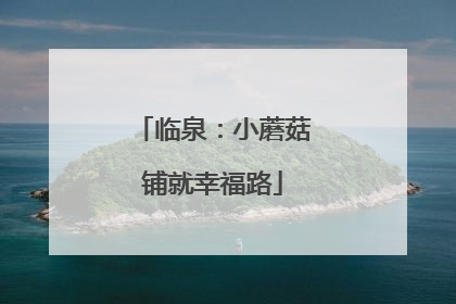 临泉：小蘑菇铺就幸福路