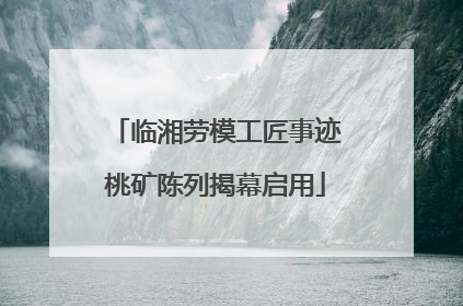 临湘劳模工匠事迹桃矿陈列揭幕启用