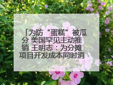 为防“蛋糕”被瓜分 美国罕见主动推销 王明志：为分摊项目开发成本同时消除潜在威胁