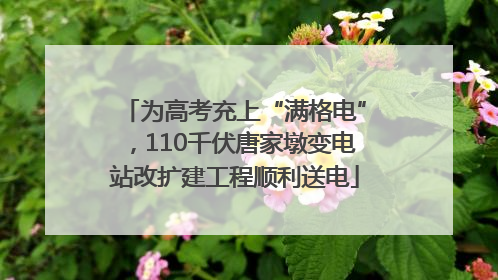 为高考充上“满格电”，110千伏唐家墩变电站改扩建工程顺利送电