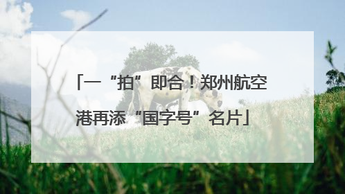 一“拍”即合！郑州航空港再添“国字号”名片