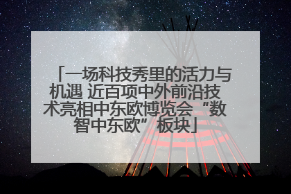 一场科技秀里的活力与机遇 近百项中外前沿技术亮相中东欧博览会“数智中东欧”板块