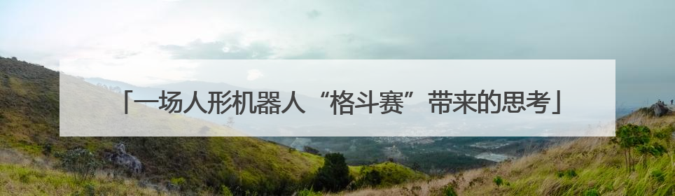 一场人形机器人“格斗赛”带来的思考