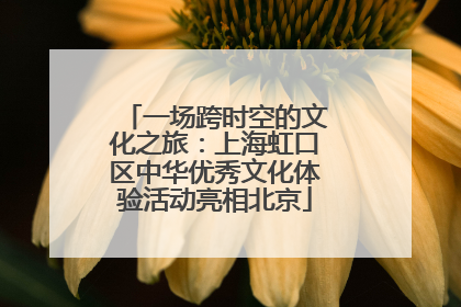 一场跨时空的文化之旅：上海虹口区中华优秀文化体验活动亮相北京