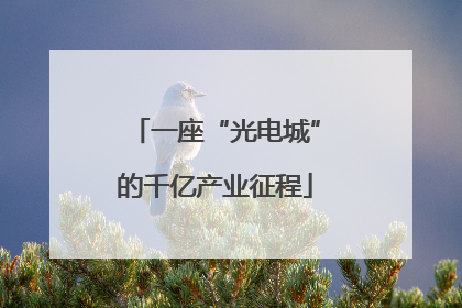 一座“光电城”的千亿产业征程