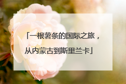 一根薯条的国际之旅，从内蒙古到斯里兰卡