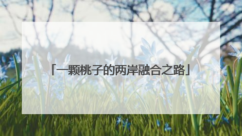 一颗桃子的两岸融合之路